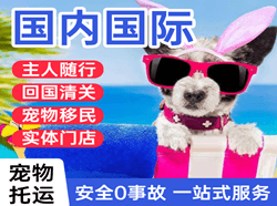 乌兰浩特机场快运国际宠物托运 【国